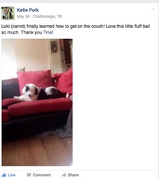 Screen Shot 2016-11-30 at 2.58.50 PM