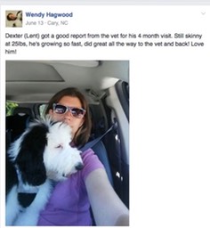 Screen Shot 2016-11-30 at 2.57.19 PM