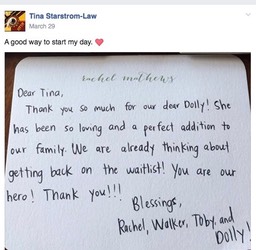 Screen Shot 2016-11-30 at 3.03.34 PM