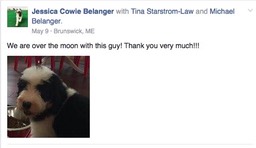 Screen Shot 2016-11-30 at 2.59.31 PM