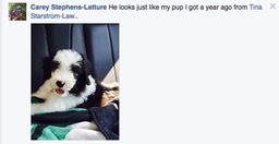 Screen Shot 2016-11-30 at 2.59.45 PM