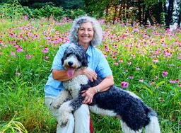 Screen Shot 2016-11-30 at 2.52.54 PM