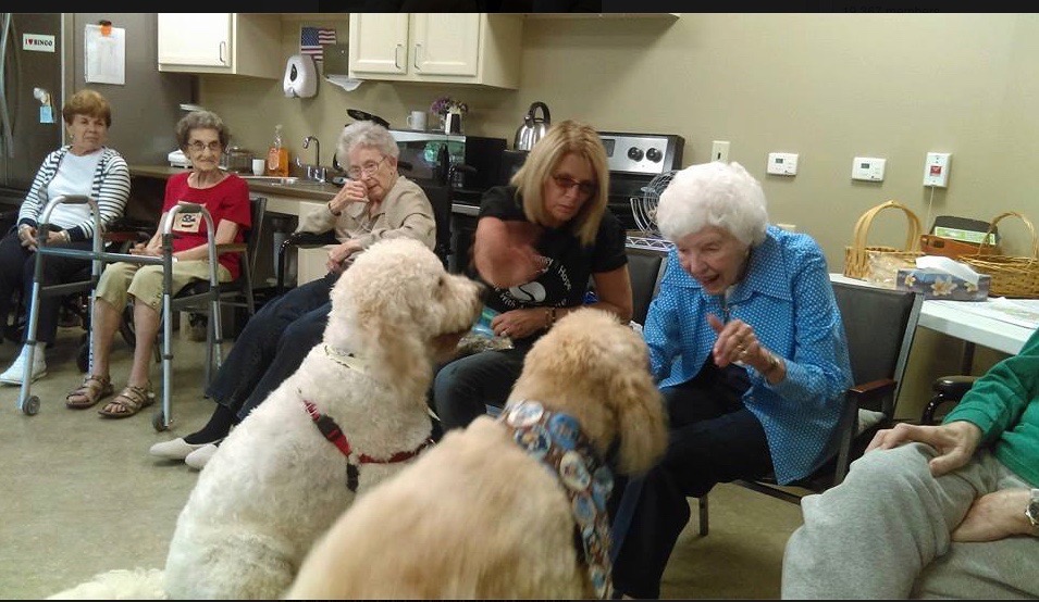 Screen Shot 2016-11-30 at 2.55.26 PM