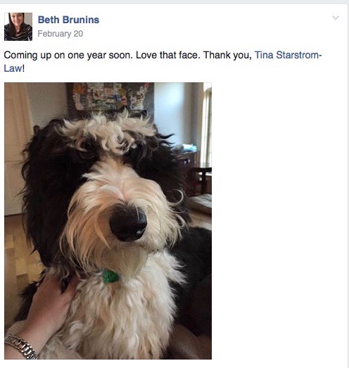 Screen Shot 2016-11-30 at 3.05.57 PM