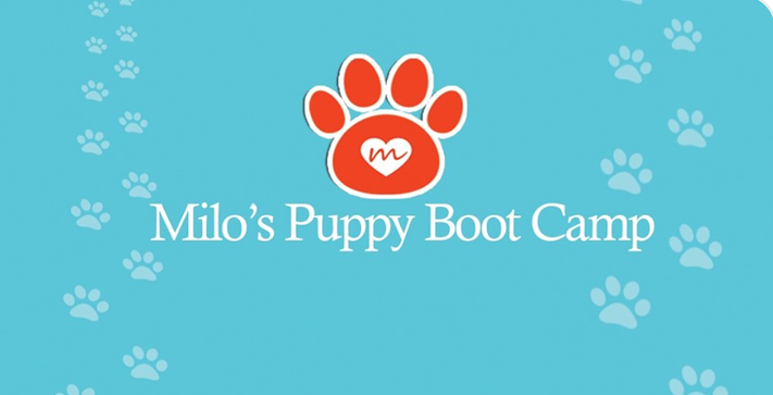 Screen Shot 2020-06-20 at 5.04.04 PM